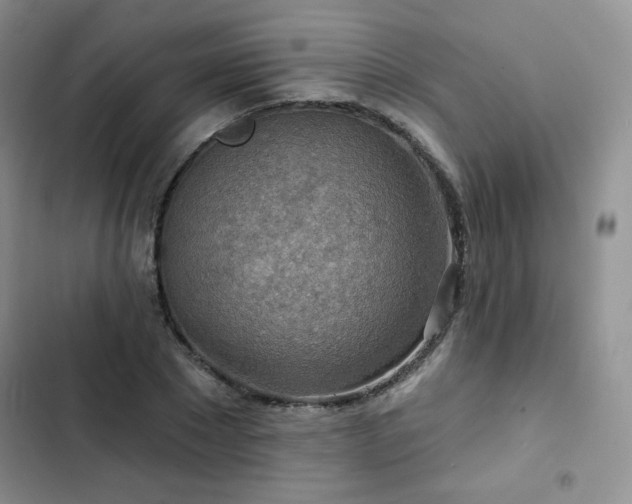 X0000102850881200808251200