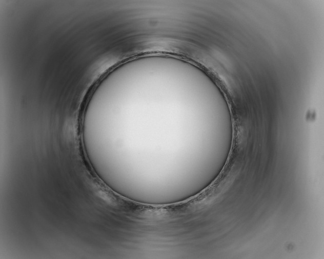 X0000102850882200808251200