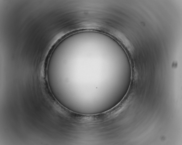 X0000102850883200808251200