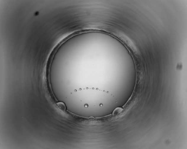 X0000102850884200808251200