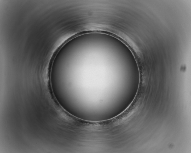 X0000102850885200808251200