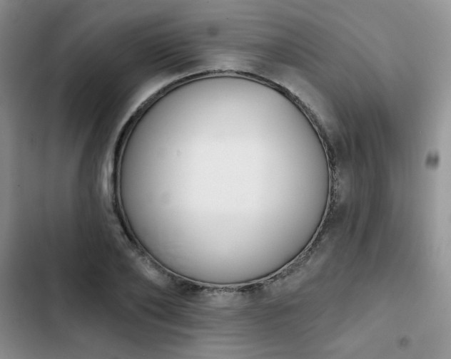 X0000102850886200808251200