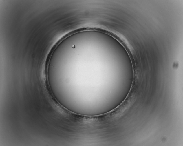 X0000102850887200808251200