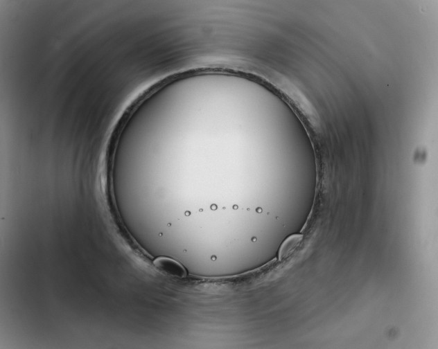 X0000102850888200808251159