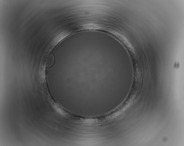 X0000102850889200808251159
