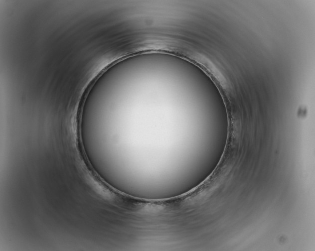 X0000102850890200808251159