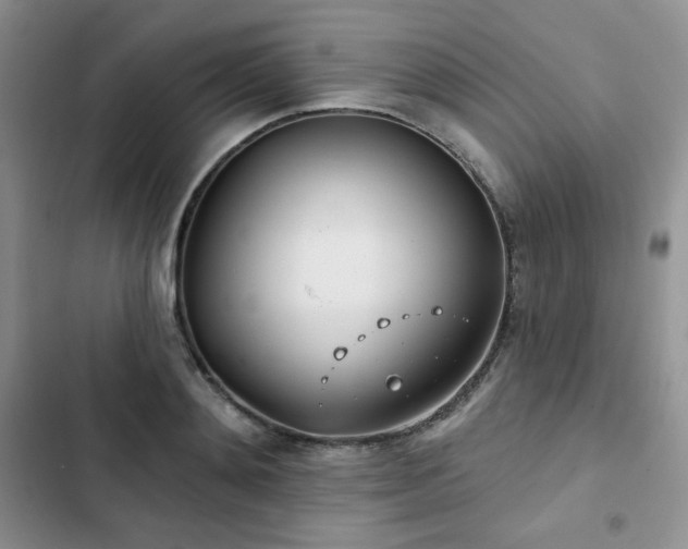 X0000102850892200808251159
