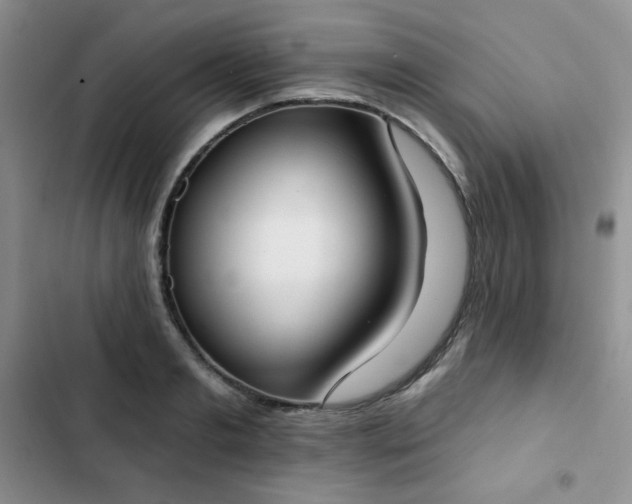 X0000102850893200808251159