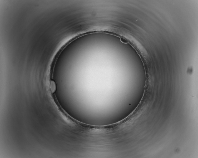 X0000102850894200808251159