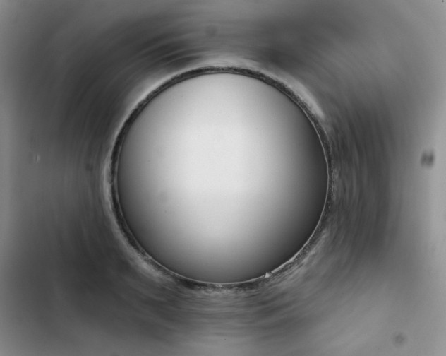 X0000102850895200808251159