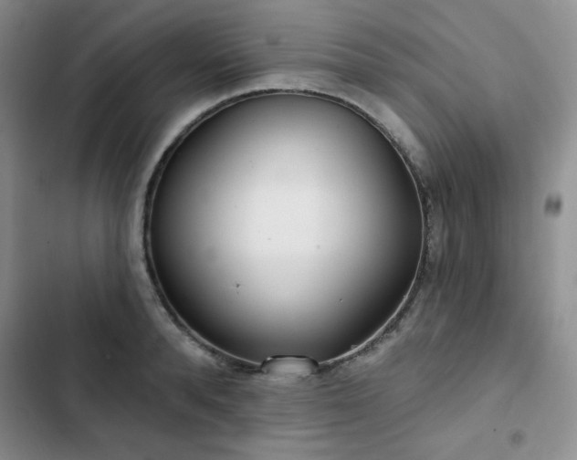 X0000102850896200808251159