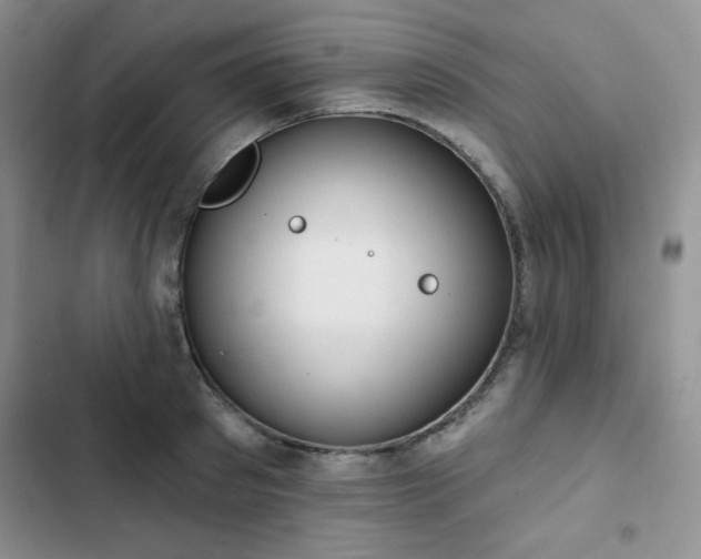 X0000102850897200808251159
