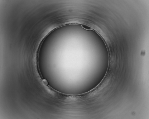 X0000102850898200808251159