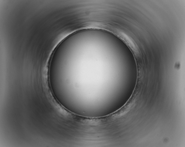 X0000102850900200808251159