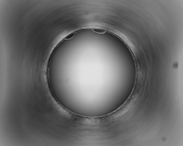 X0000102850901200808251159