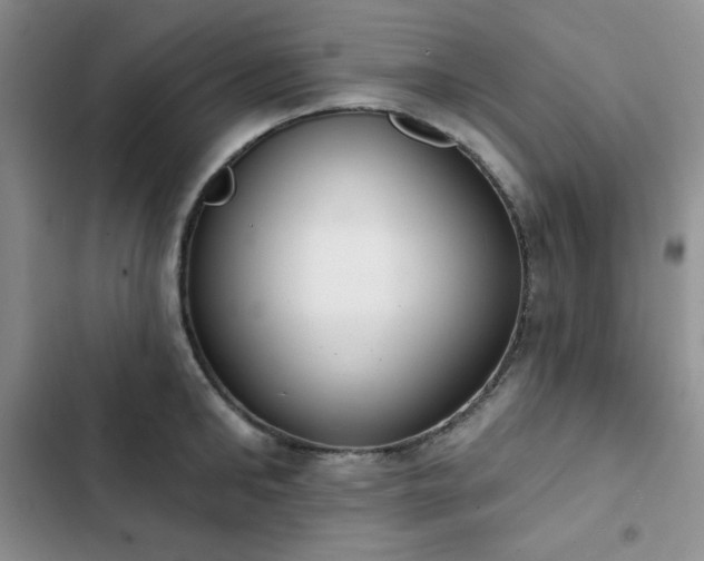 X0000102850902200808251159