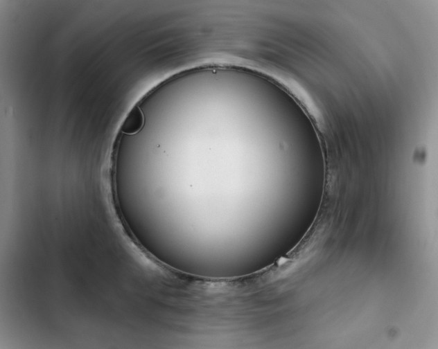 X0000102850903200808251159