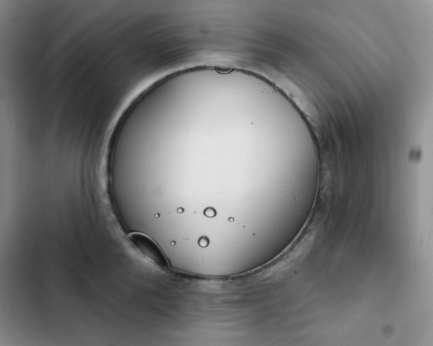 X0000102850904200808251159