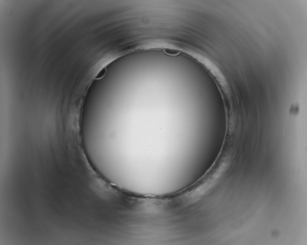 X0000102850905200808251159