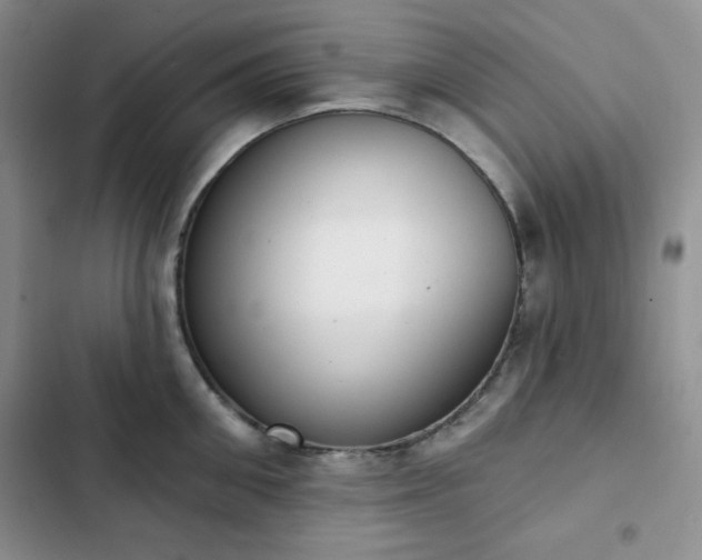 X0000102850906200808251159