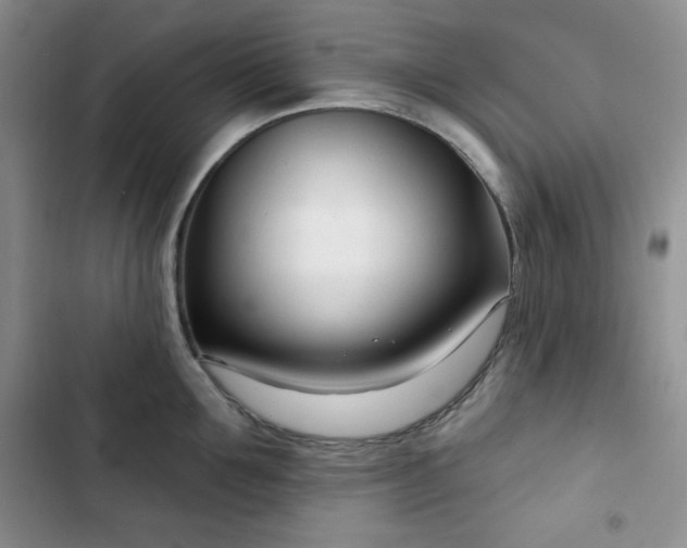 X0000102850907200808251159