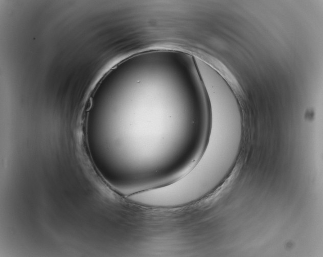 X0000102850908200808251159