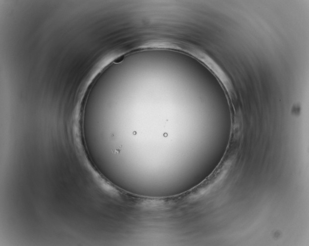 X0000102850909200808251159