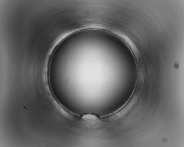 X0000102850910200808251159