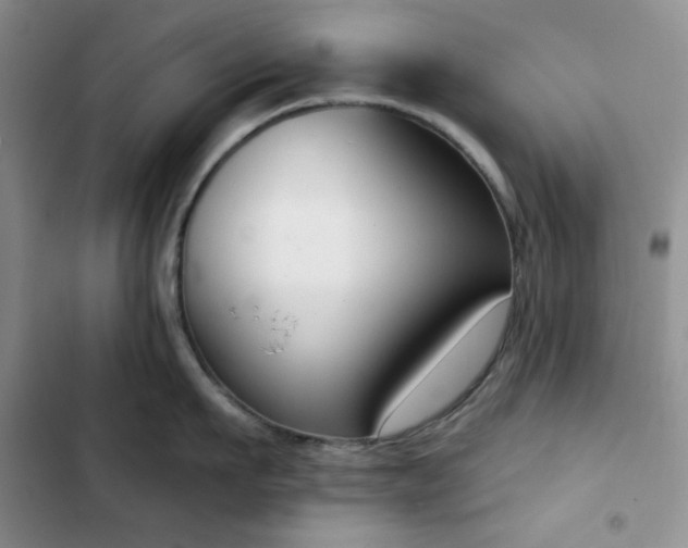 X0000102850911200808251159