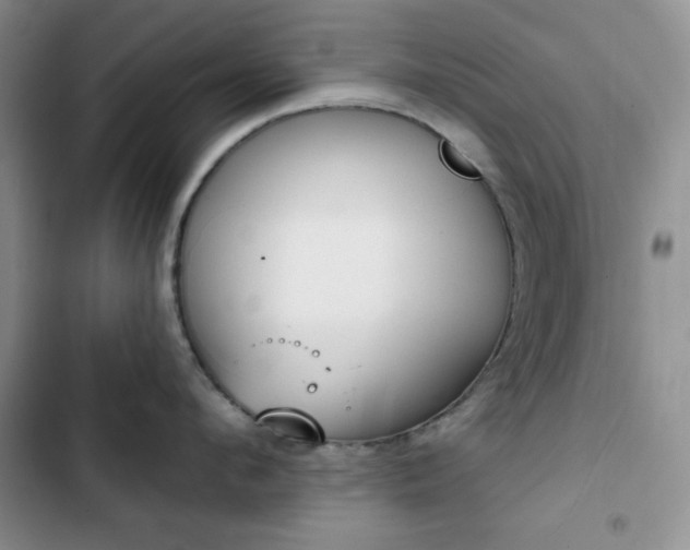 X0000102850912200808251159