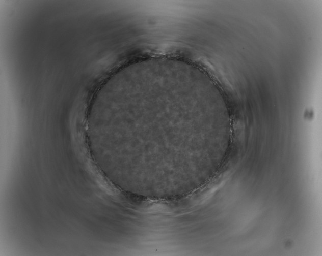 X0000102850913200808251158