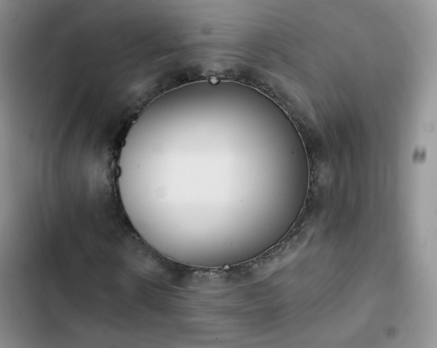 X0000102850914200808251159