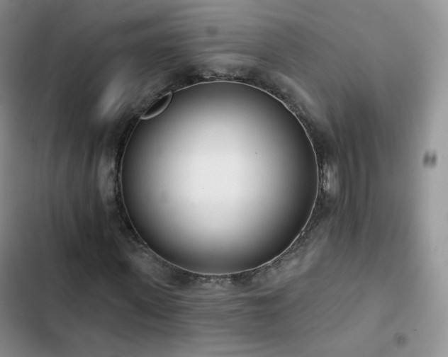 X0000102850915200808251159