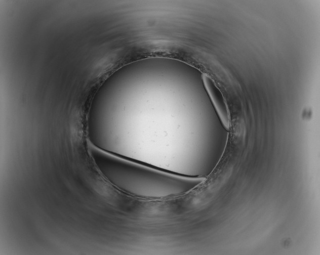 X0000102850916200808251159