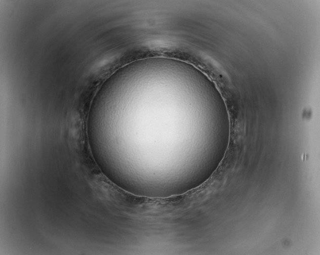 X0000102850917200808251159