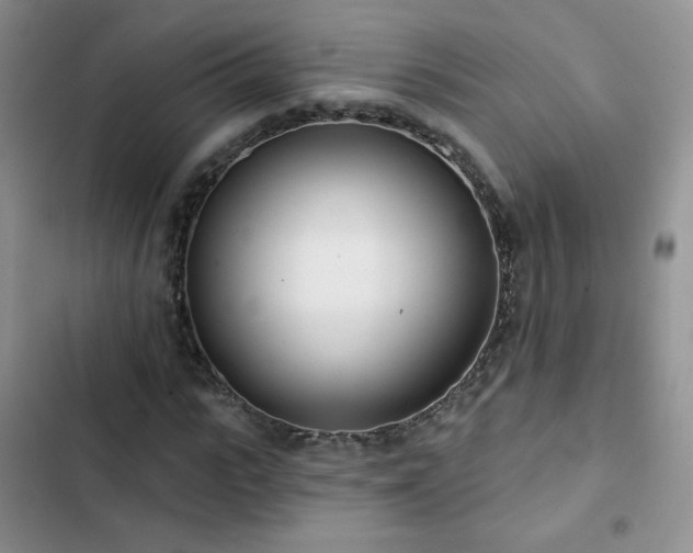 X0000102850919200808251159