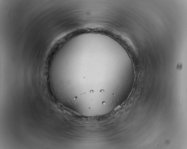 X0000102850920200808251159