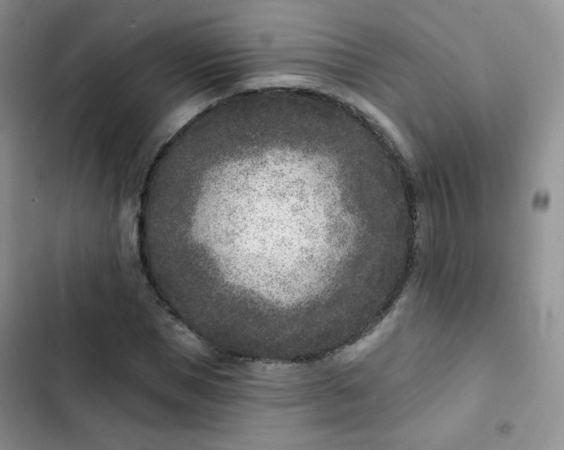 X0000102850921200808251159