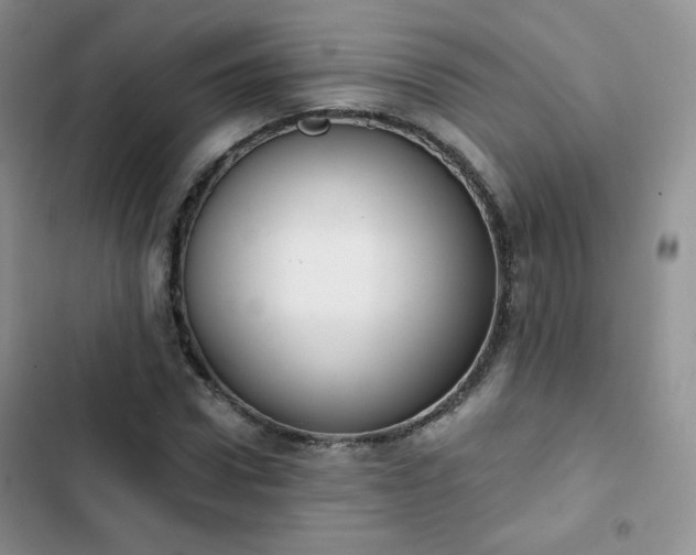 X0000102850922200808251159