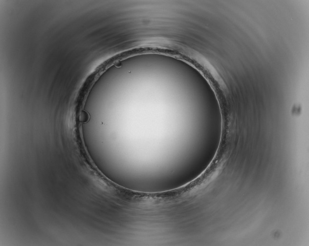 X0000102850923200808251159