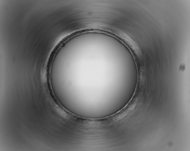 X0000102850924200808251159