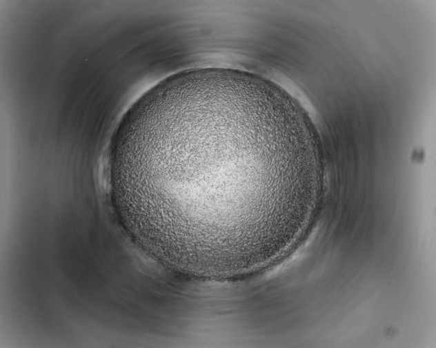 X0000102850925200808251159