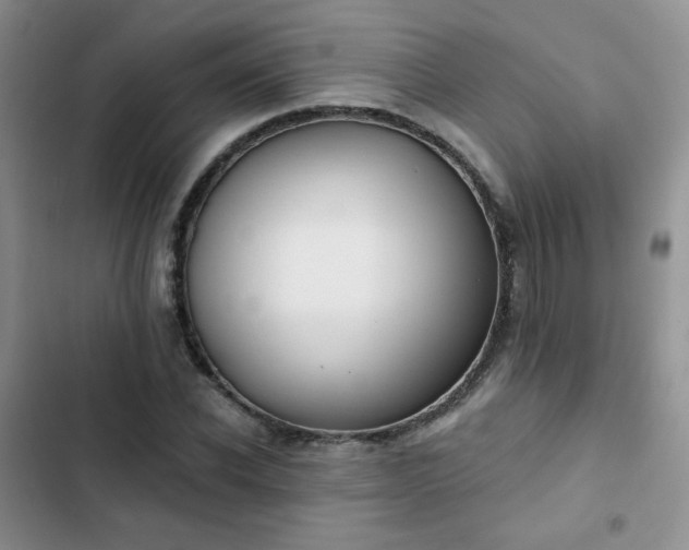 X0000102850926200808251159