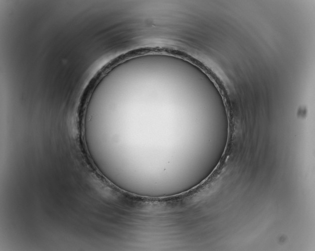 X0000102850927200808251159