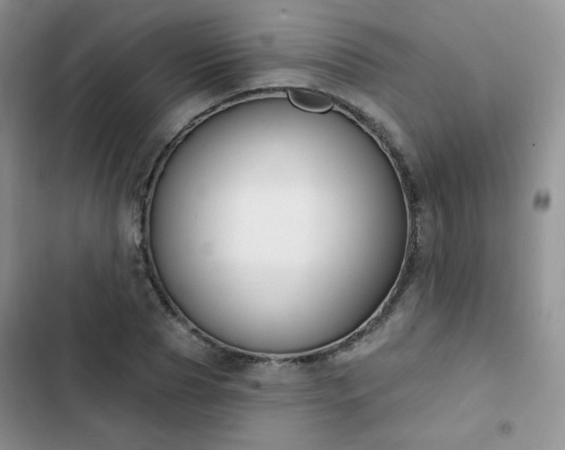 X0000102850929200808251159
