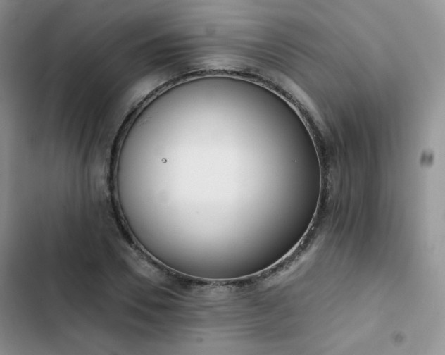 X0000102850930200808251159