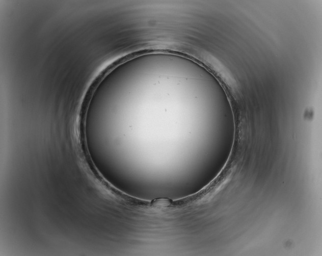 X0000102850932200808251159
