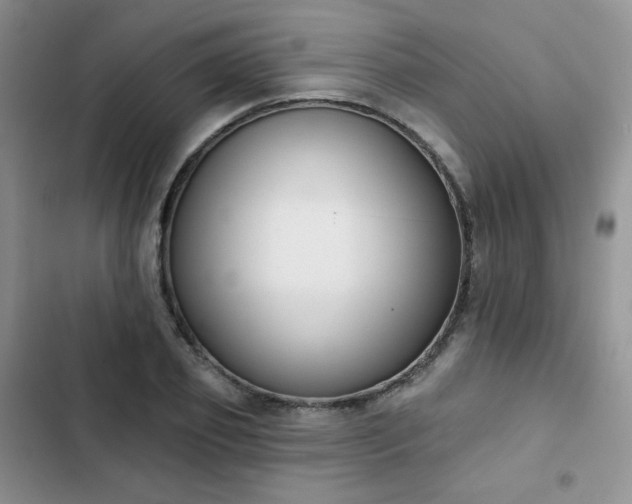 X0000102850933200808251159