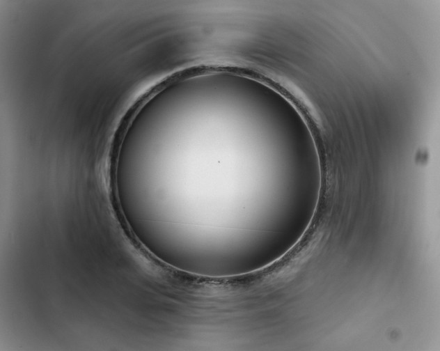 X0000102850935200808251159