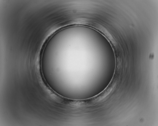 X0000102850939200808251159